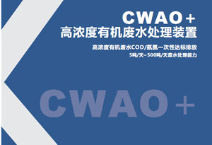 CWAO+高COD废水处理装置